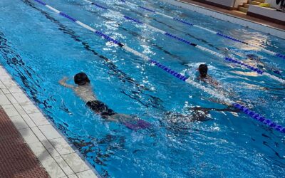 Dave’s Lane Swimmers